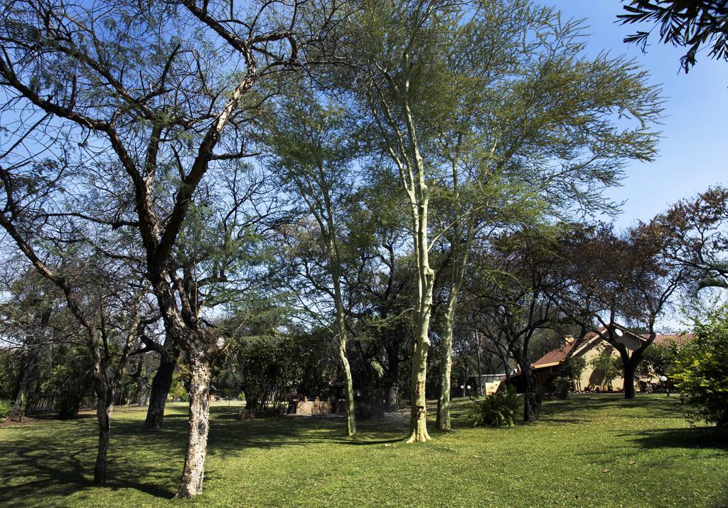Sunbird Lodge Phalaborwa Dış mekan fotoğraf