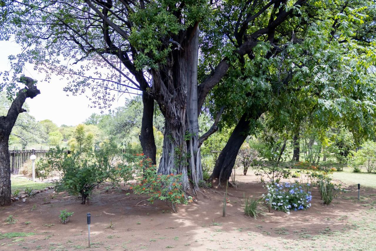 Sunbird Lodge Phalaborwa Dış mekan fotoğraf