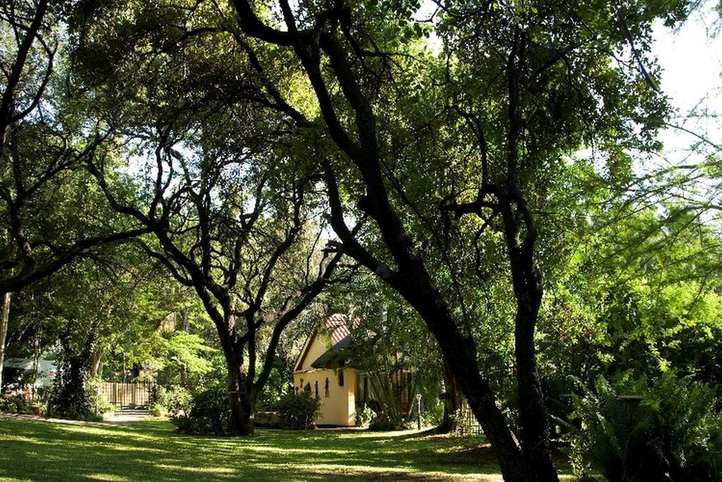 Sunbird Lodge Phalaborwa Dış mekan fotoğraf
