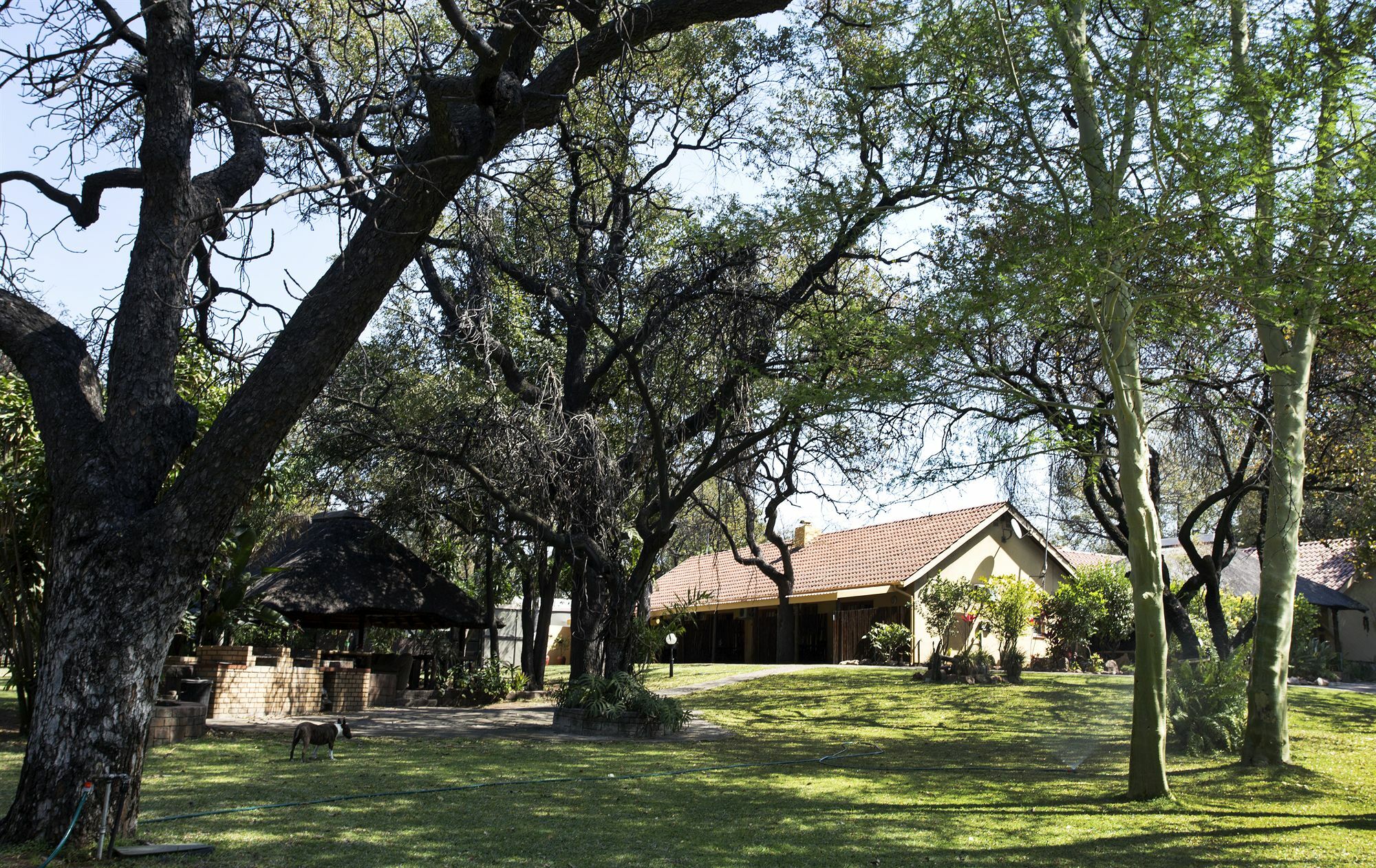 Sunbird Lodge Phalaborwa Dış mekan fotoğraf