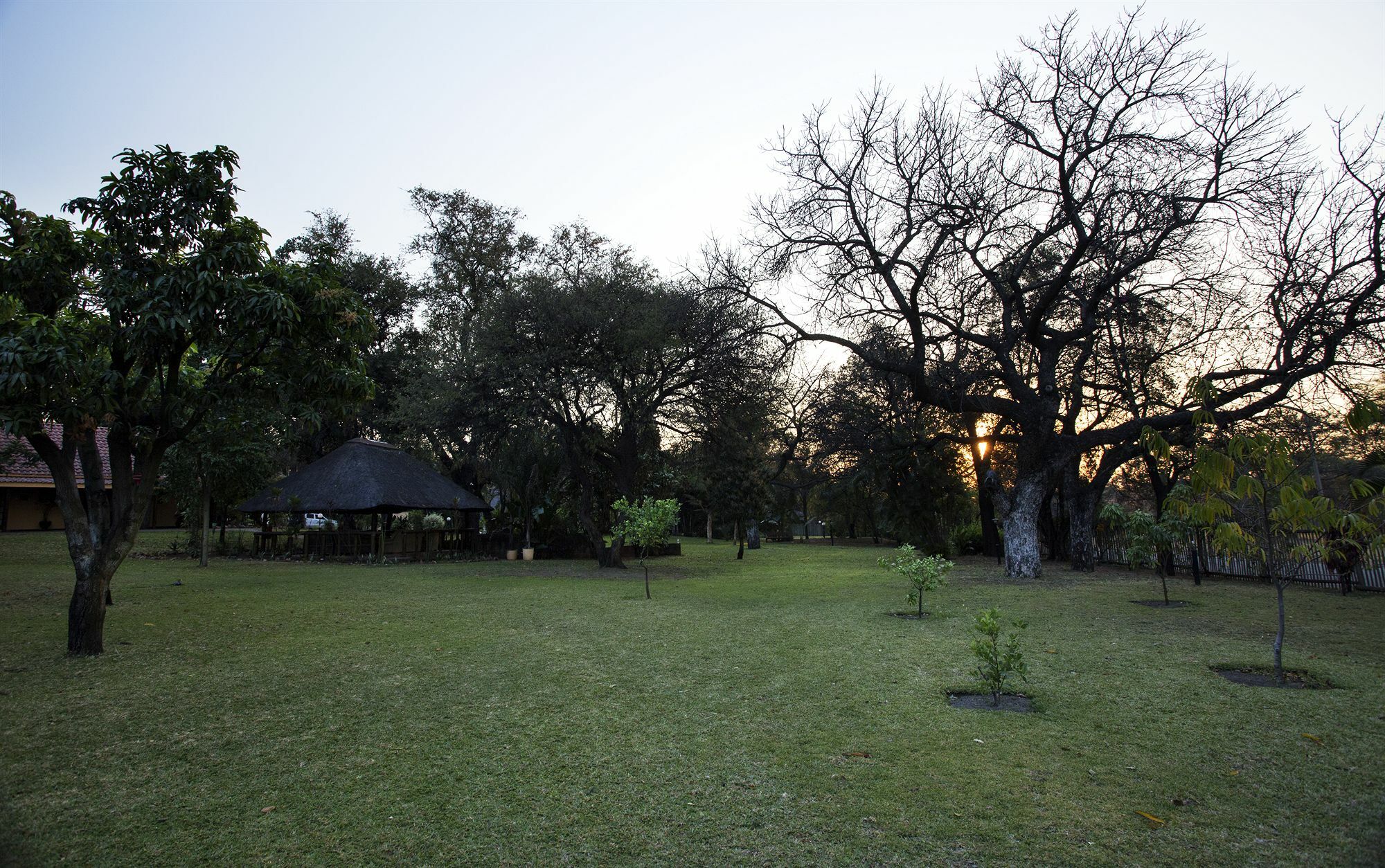 Sunbird Lodge Phalaborwa Dış mekan fotoğraf